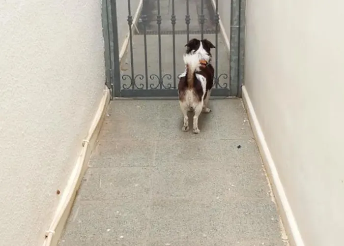 Vele Nel Mare - Sasa *