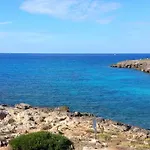 Vele Nel Mare - Sasa * 토레 수다